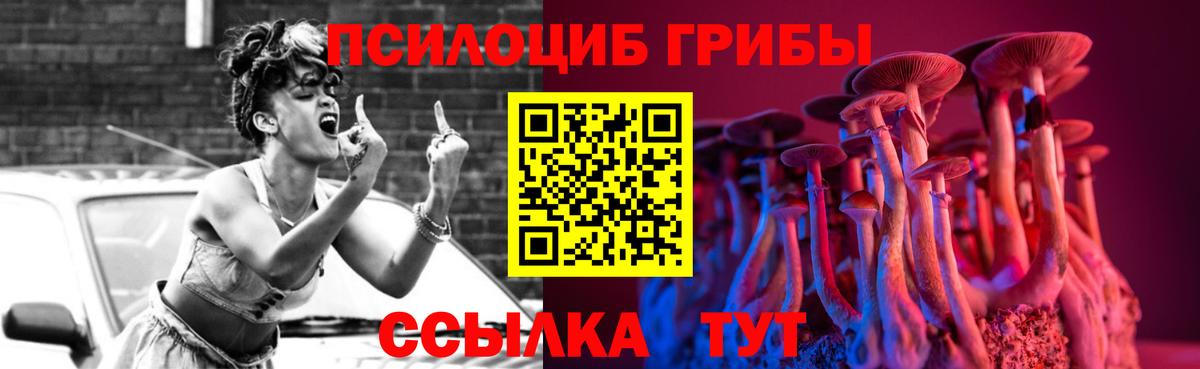 Кинель  Галлюциногенные грибы MAGIC MUSHROOMS  Вход с VPN 